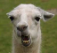 Diffrac's avatar